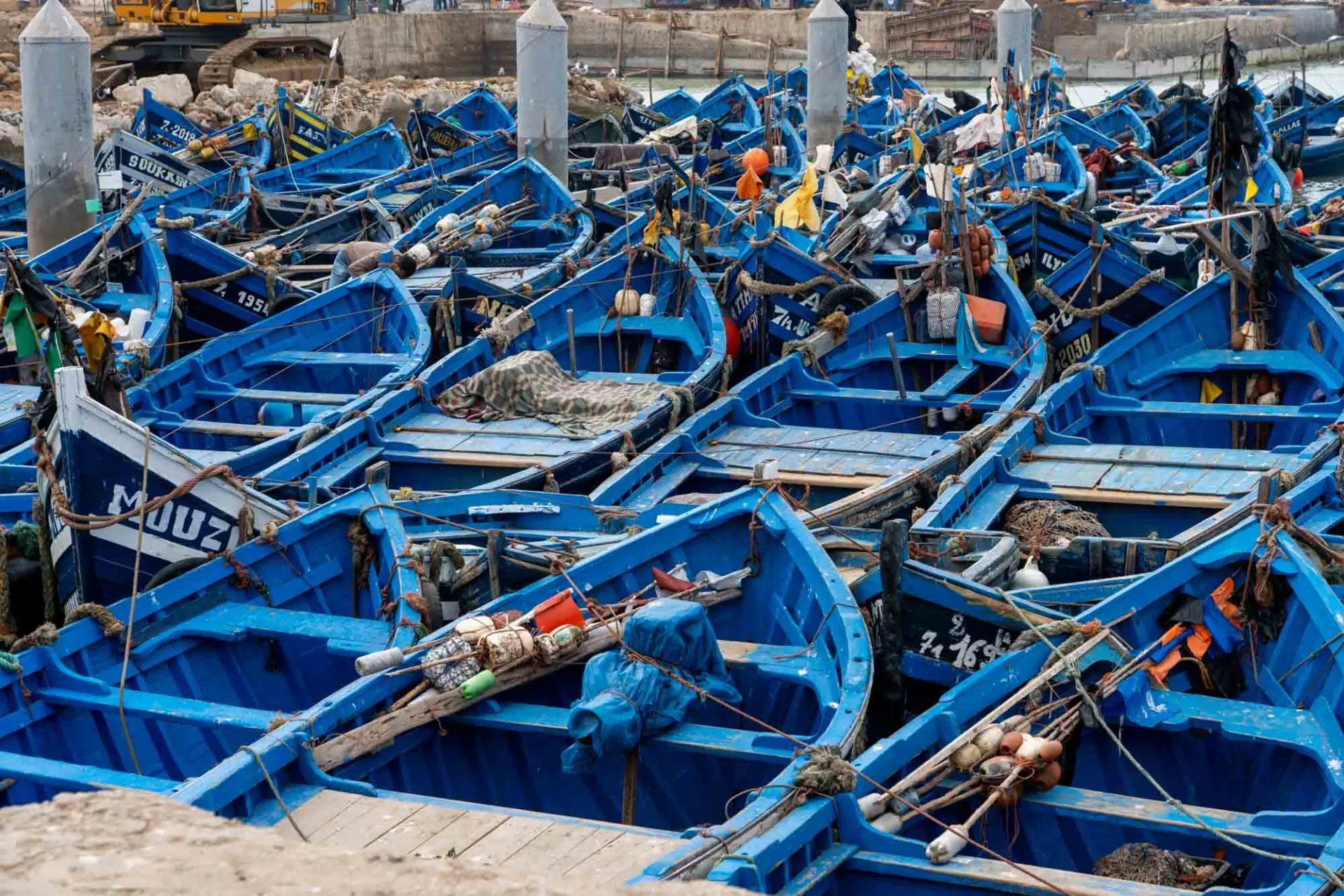Fishing harbour and ramparts of Essaouira