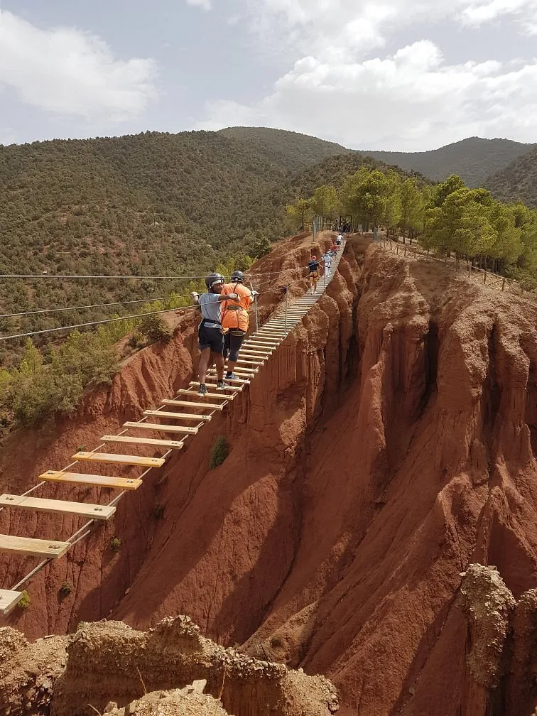 Zip line and tree-climbing course at Les Terres d’Amanar